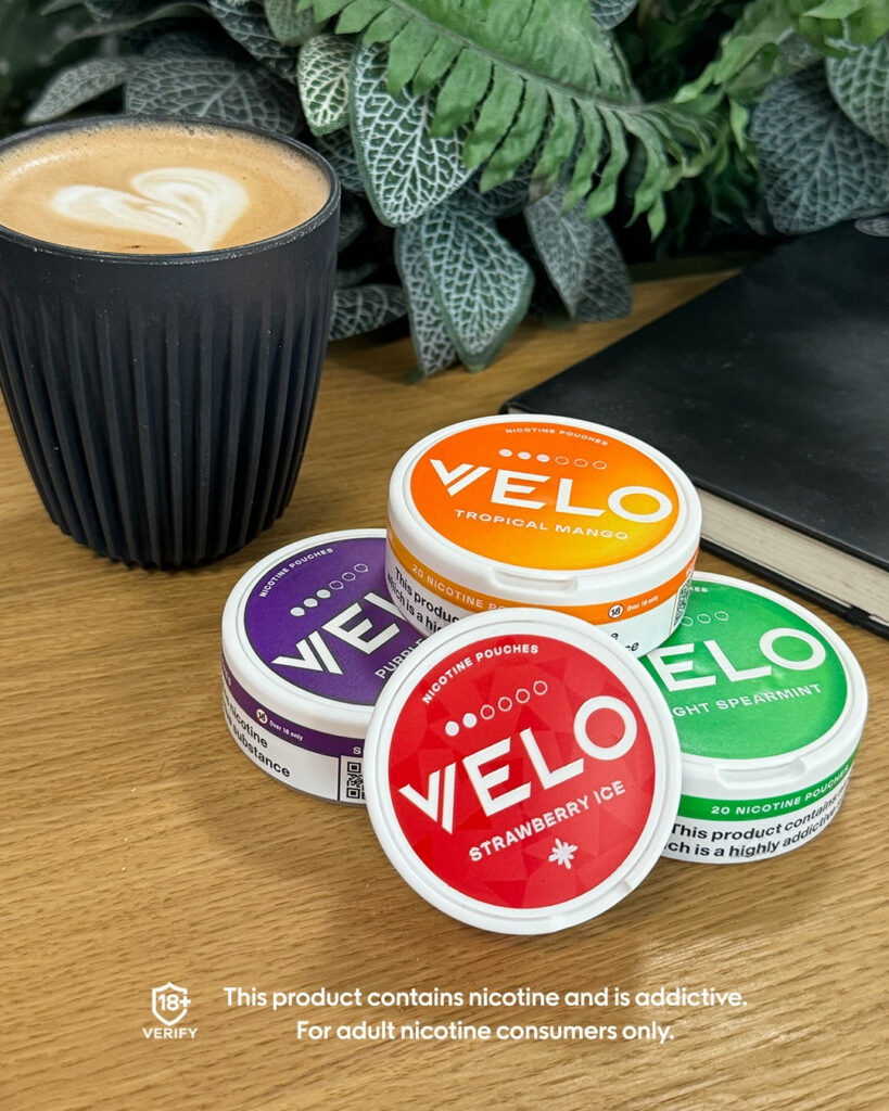 Major/Velo – Velo-prob-2024-804-975.jpg
