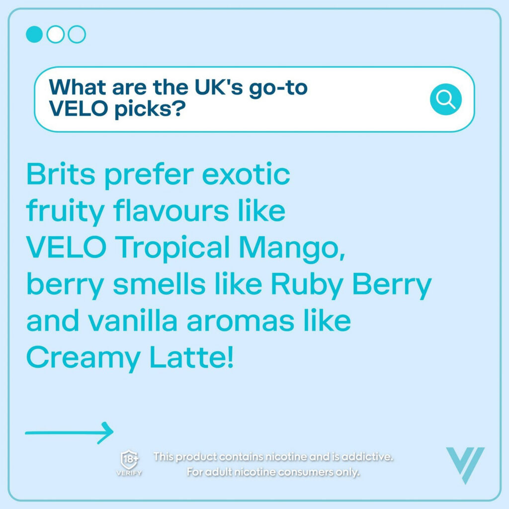 Major/Velo – Velo-prob-2024-804-977.jpg