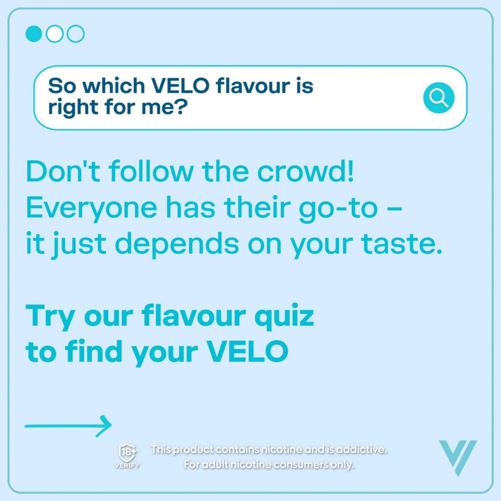 Major/Velo – Velo-prob-2024-804-978.jpg