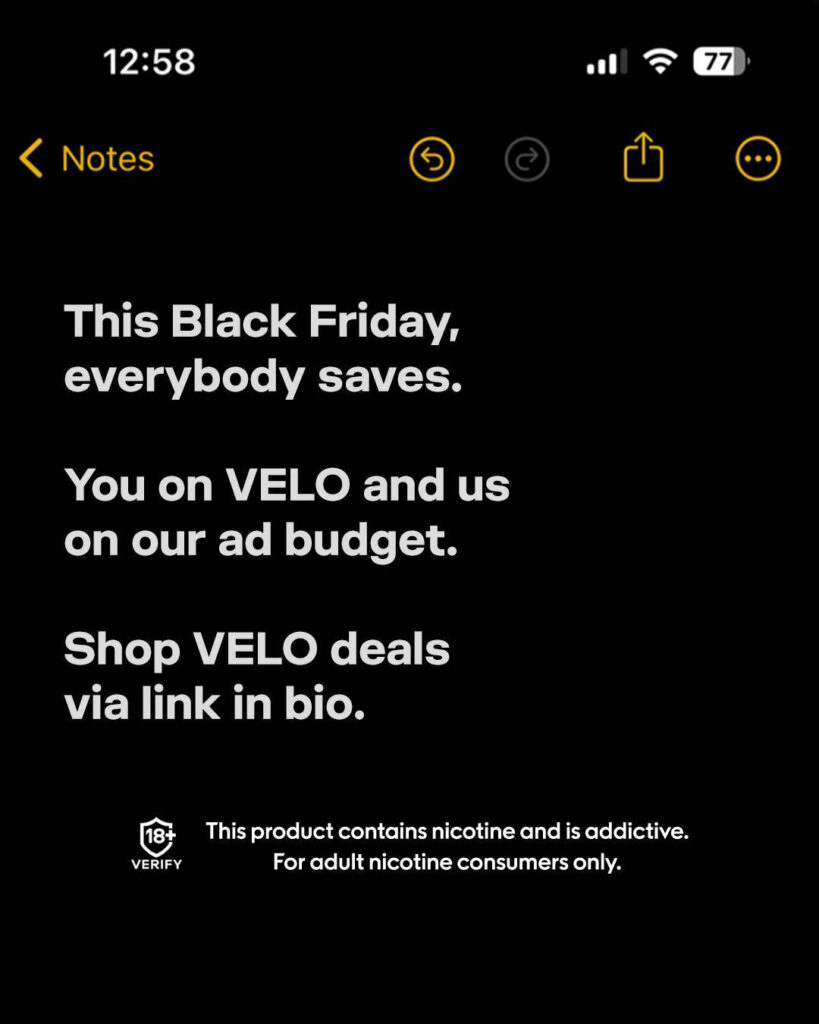 Major/Velo – Velo-prob-2024-804-979.jpg