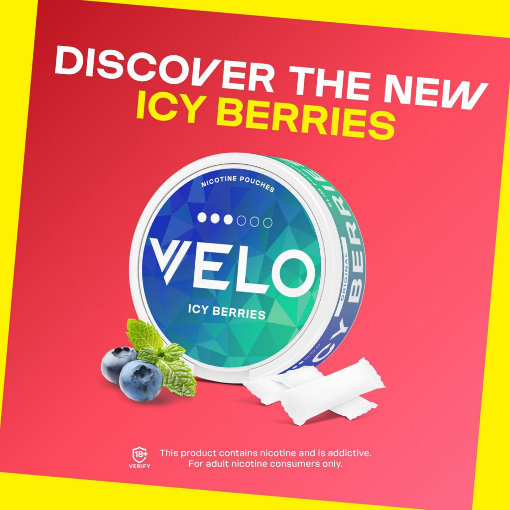 Major/Velo – Velo-prob-2024-804-993.jpg