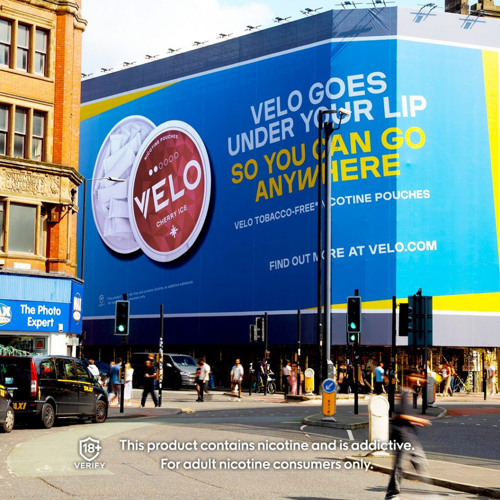 Major/Velo – Velo-prob-2024-804-994.jpg
