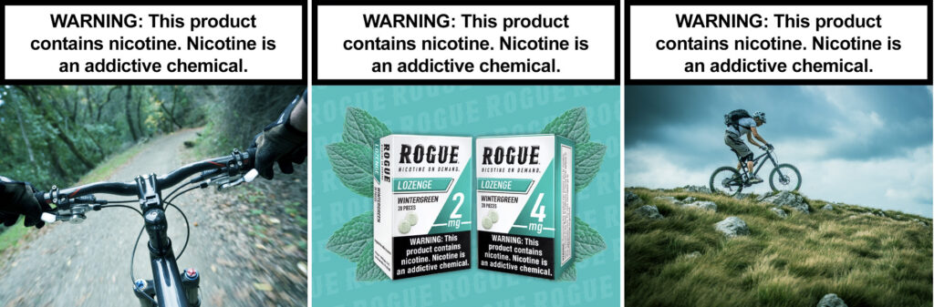Rogue