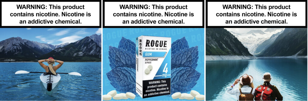 Rogue