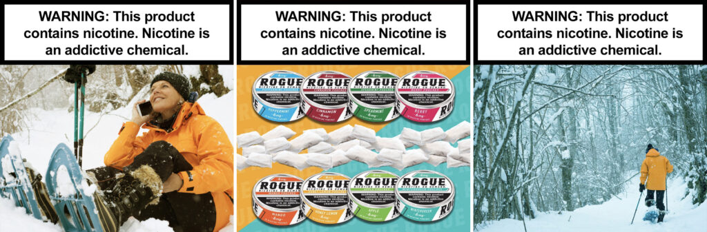 Rogue