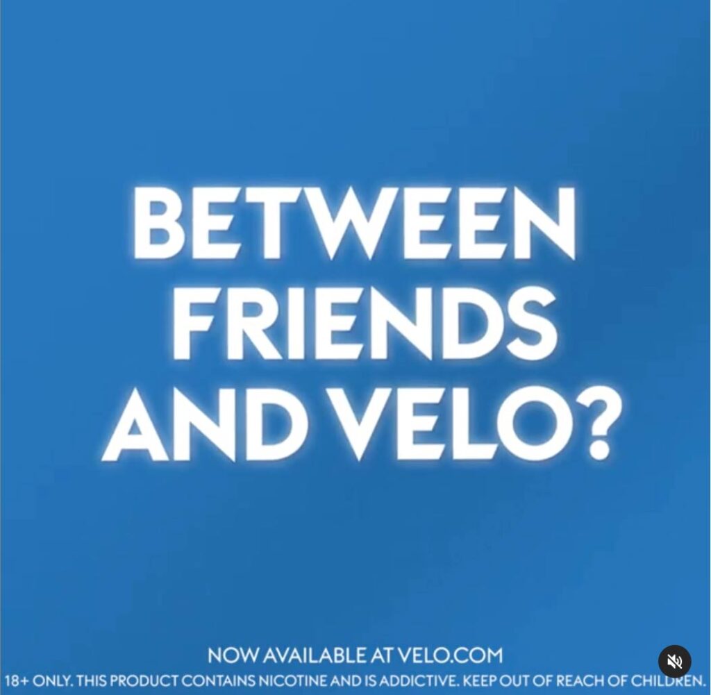 Pouches / Velo