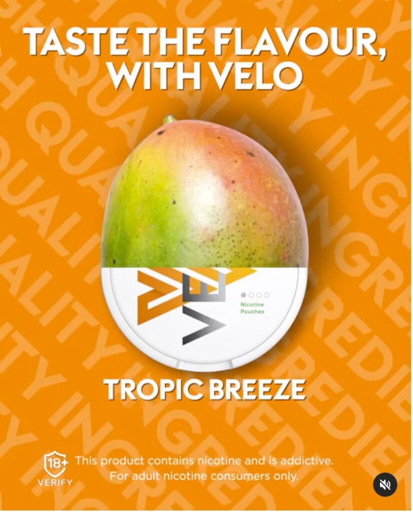 Pouches / Velo