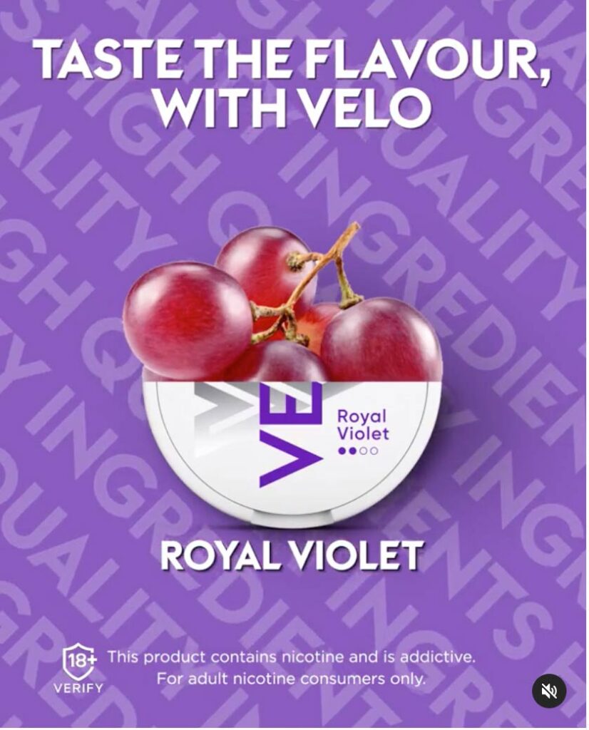 Pouches / Velo