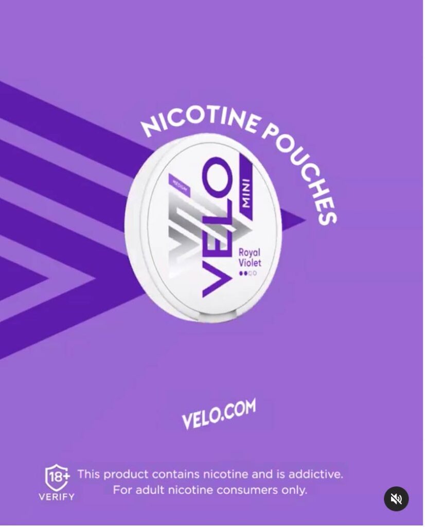 Pouches / Velo
