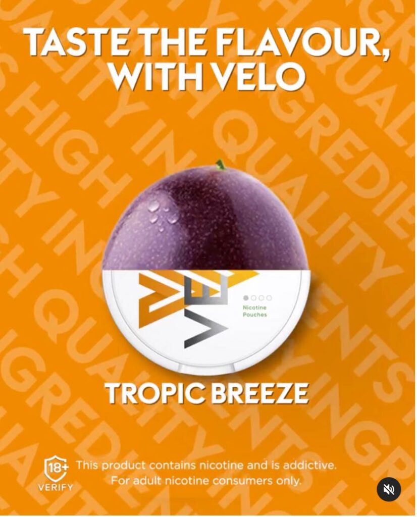 Pouches / Velo