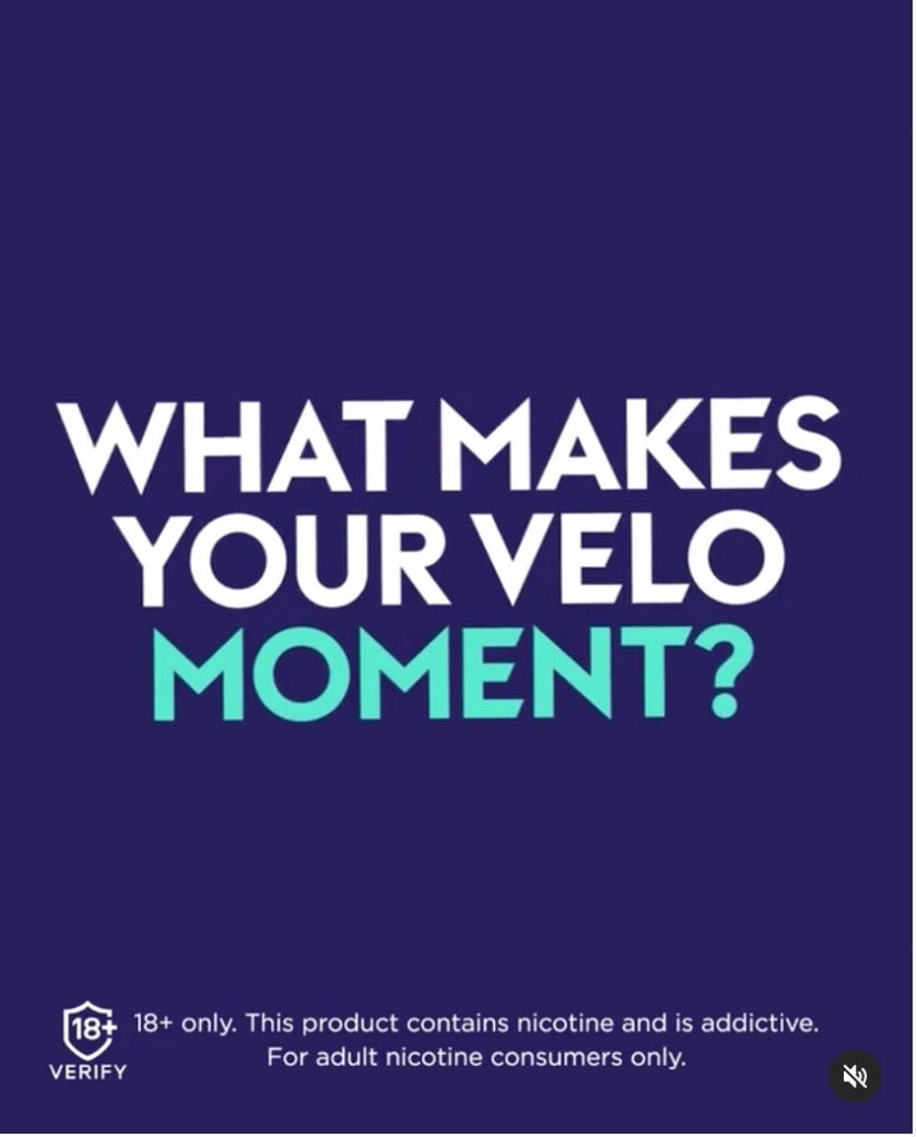 Pouches / Velo