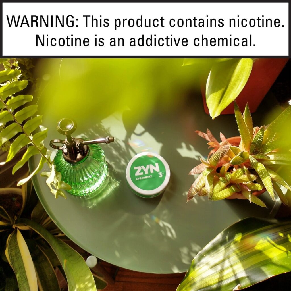 ZYN