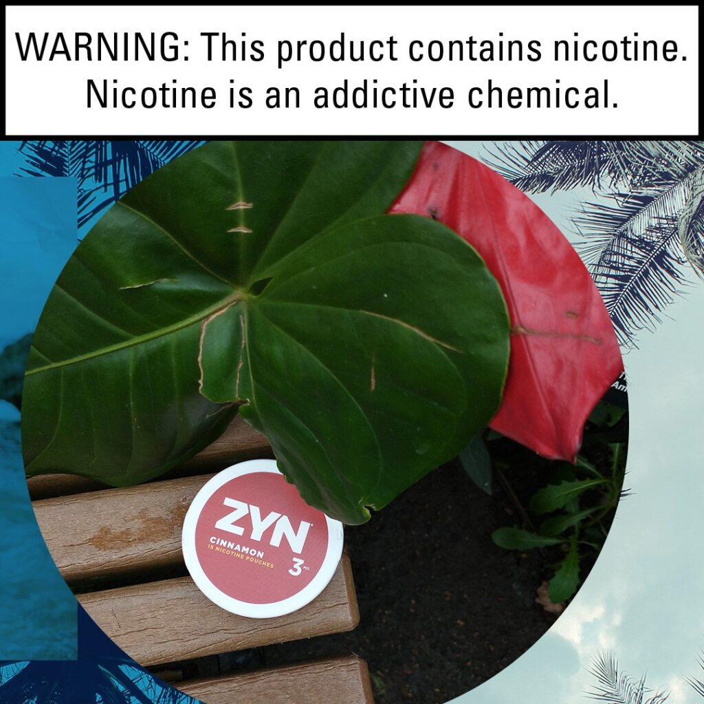 ZYN