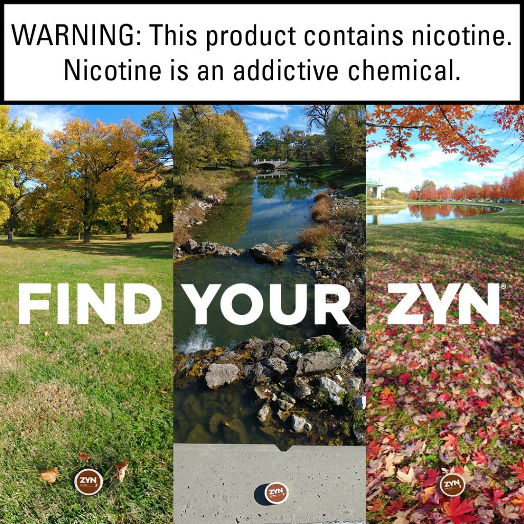 ZYN